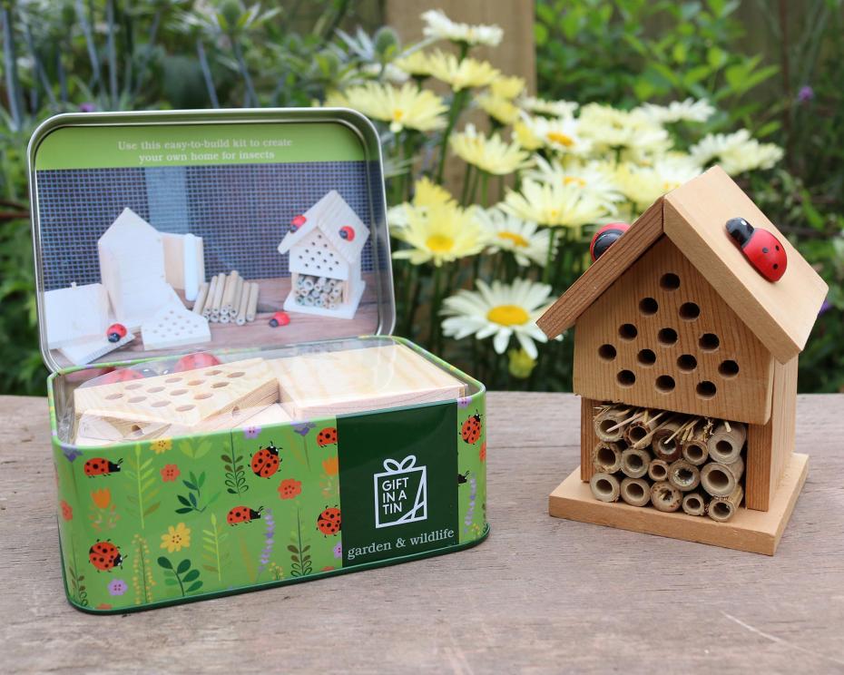 Open Tin and Insect House